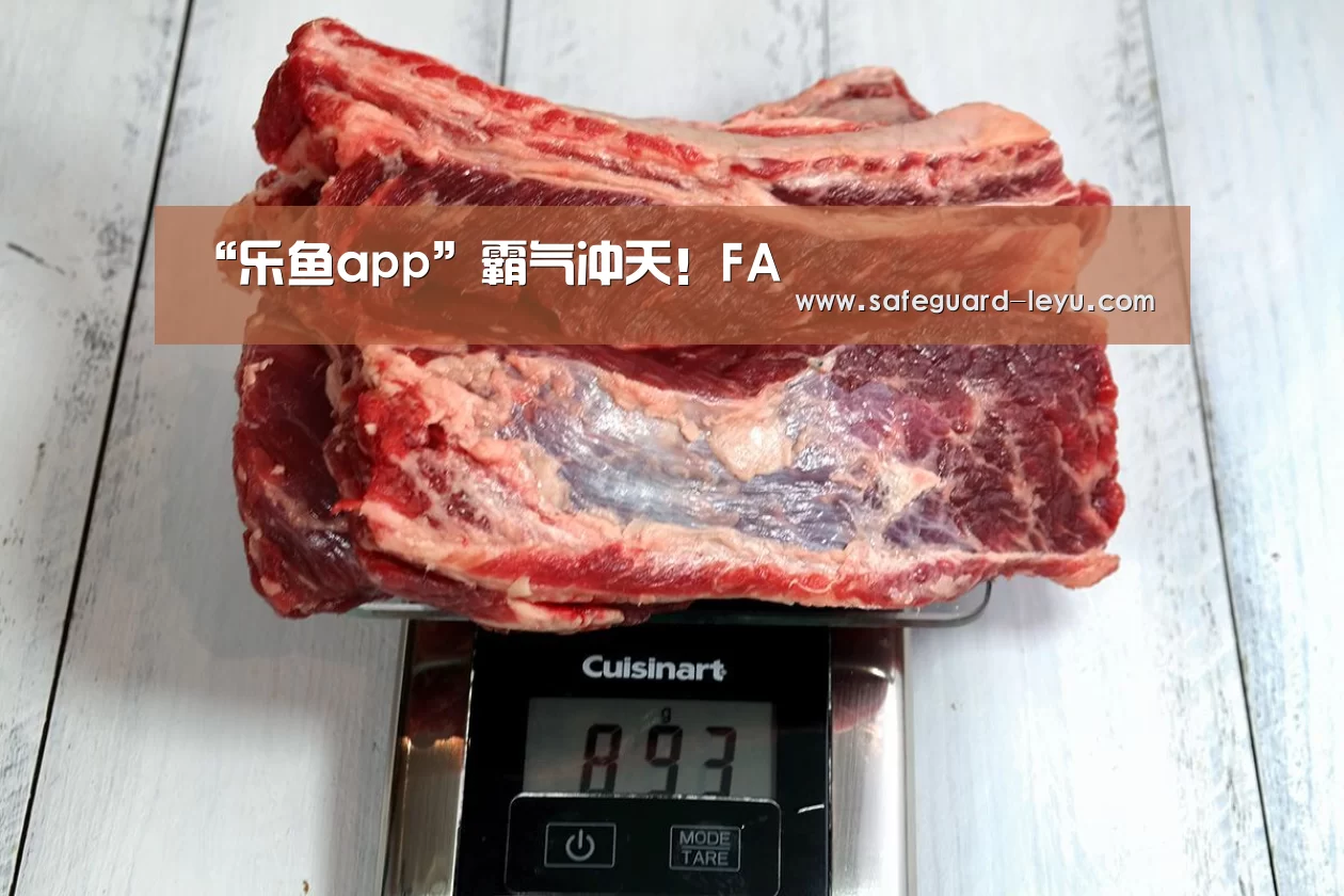 乐鱼体育